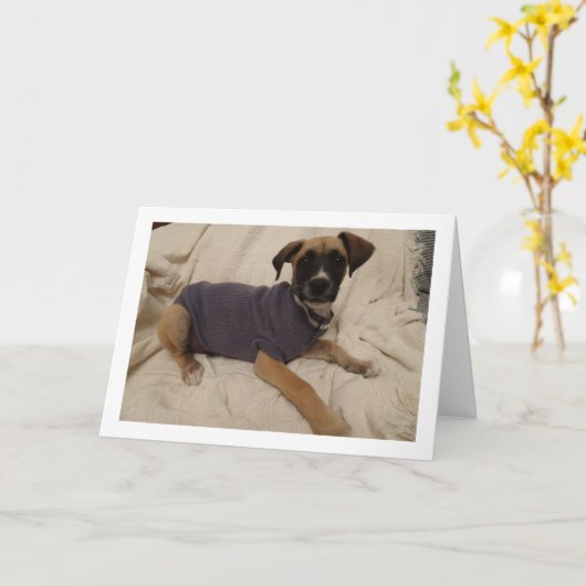 Welpe in einem Jumper Karte (Gelbe Blume)