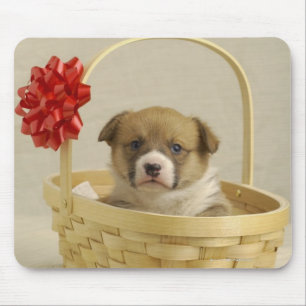 Welpe in einem Korb Mousepad