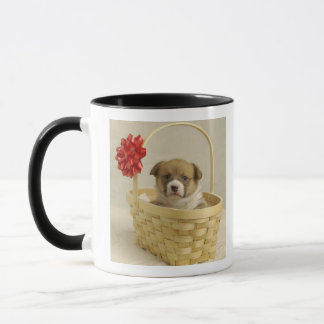 Welpe in einem Korb Tasse