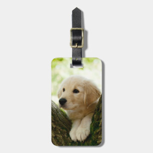 Welpe in einem Waldgebiet Gepäckanhänger