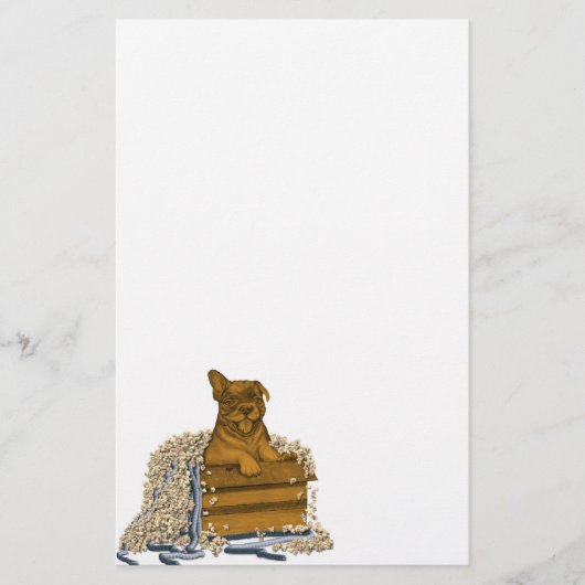 Welpe in einer Box Briefpapier (Vorderseite)