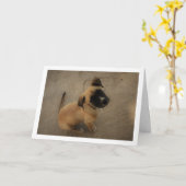 Welpe in Liebe Karte (Gelbe Blume)