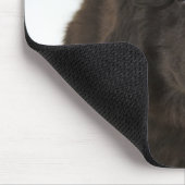 Welpe in Neufundland, Studio-Aufnahme Mousepad (Ecke)