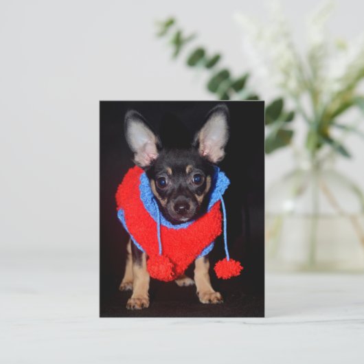 Welpe in Wooly Sweater Postkarte (Stehend Vorderseite)