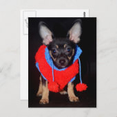 Welpe in Wooly Sweater Postkarte (Vorne/Hinten)