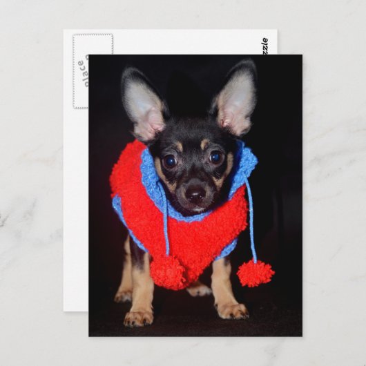 Welpe in Wooly Sweater Postkarte (Vorne/Hinten)