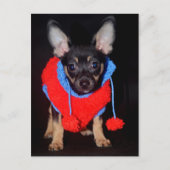 Welpe in Wooly Sweater Postkarte (Vorderseite)