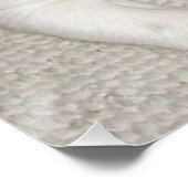 Welpe Jack Russell Terrier Poster (Ecke)