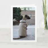 Welpe Karte (Vorderseite)