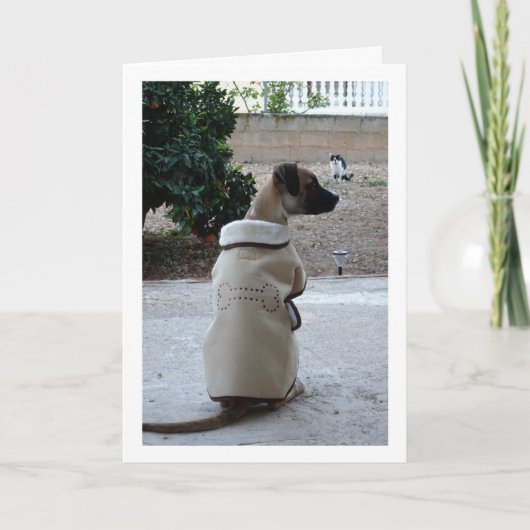 Welpe Karte (Vorderseite)