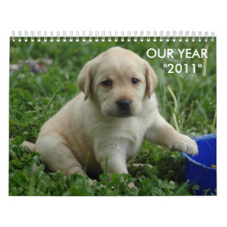 Welpe-Labrador-HD-Tapete, UNSER JAHR    "2011" Kalender