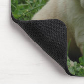 Welpe-Labrador-HDtapete Mousepad (Ecke)