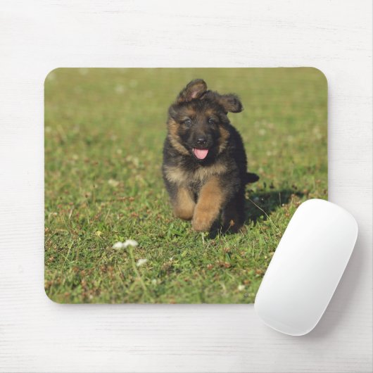 Welpe läuft mousepad (Mit Mouse)