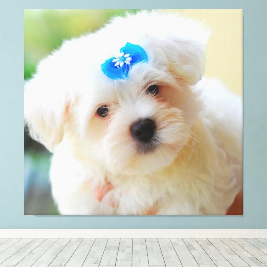 Welpe Leinwanddruck (Insitu (Holzboden))