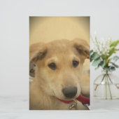 Welpe Liebe: Der beste Freund des Menschen Briefpapier (Stehend Vorderseite)