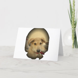 Welpe Liebe: Der beste Freund des Menschen Karte