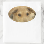 Welpe Liebe: Der beste Freund des Menschen Ovaler Aufkleber (Tasche)