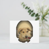 Welpe Liebe: Der beste Freund des Menschen Postkarte (Stehend Vorderseite)