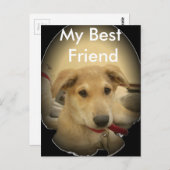 Welpe Liebe: Der beste Freund des Menschen Postkarte (Vorne/Hinten)