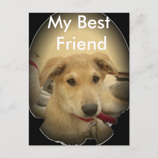 Welpe Liebe: Der beste Freund des Menschen Postkarte (Vorderseite)