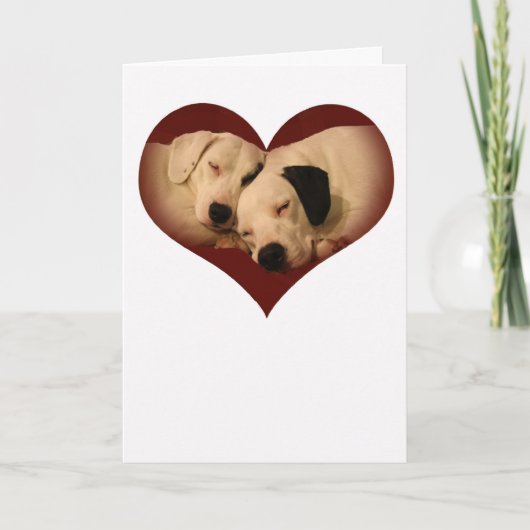 Welpe Liebe Feiertagskarte (Vorderseite)