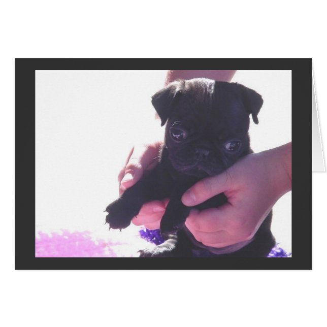 Welpe Liebe II (Vorderseite (Horizontal))