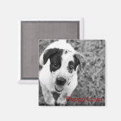 Welpe Liebe Magnet (Vorderseite/Rückseite)