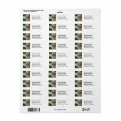 Welpe Liebe - Niedliches MaltiPoo Dog Foto (Vorne)