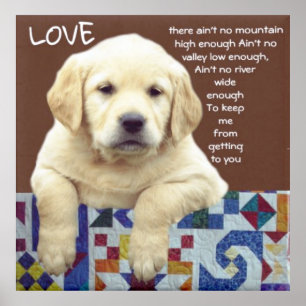 "Welpe Liebe" Poster