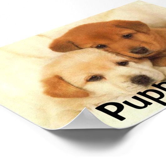 Welpe Liebe Poster (Ecke)