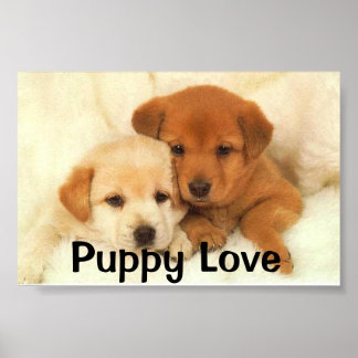 Welpe Liebe Poster