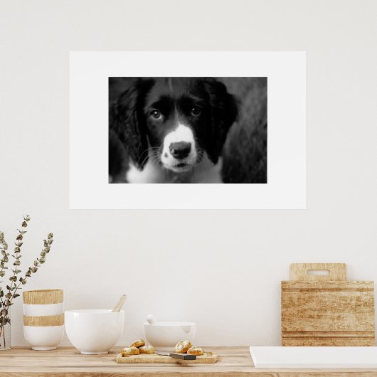 Welpe Liebe Poster (Küche)