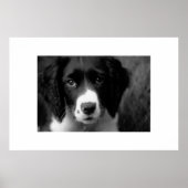 Welpe Liebe Poster (Vorne)