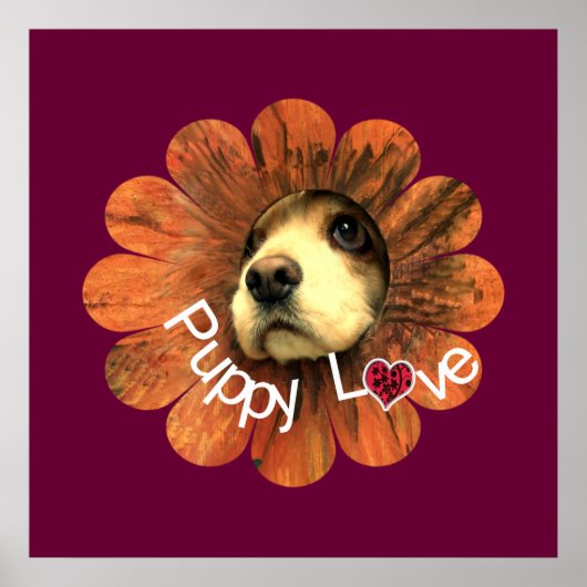 Welpe Liebe Poster (Vorne)