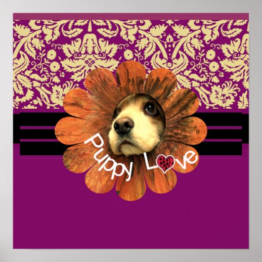 Welpe Liebe Poster (Vorne)