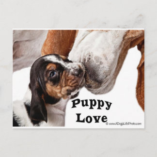 Welpe-Liebe Postkarte