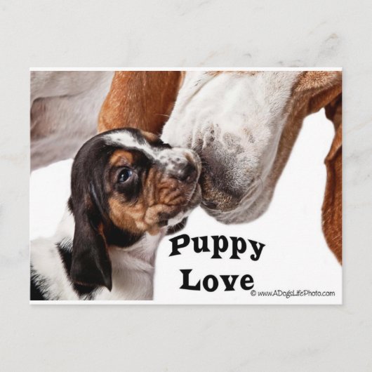 Welpe-Liebe Postkarte (Vorderseite)