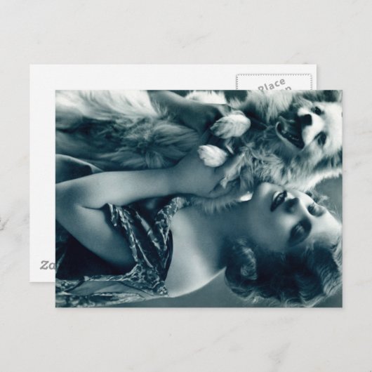 Welpe Liebe Postkarte (Vorne/Hinten)