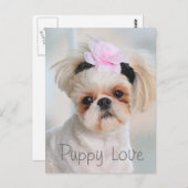 Welpe Liebe Postkarte (Vorne/Hinten)