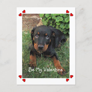 Welpe Liebe Valentinstag Postkarte