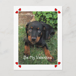 Welpe Liebe Valentinstag Postkarte