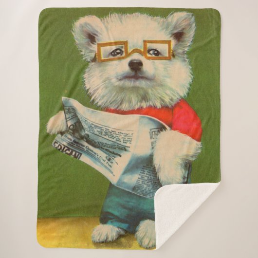 Welpe liest Zeitung Sherpadecke (Vorderseite)