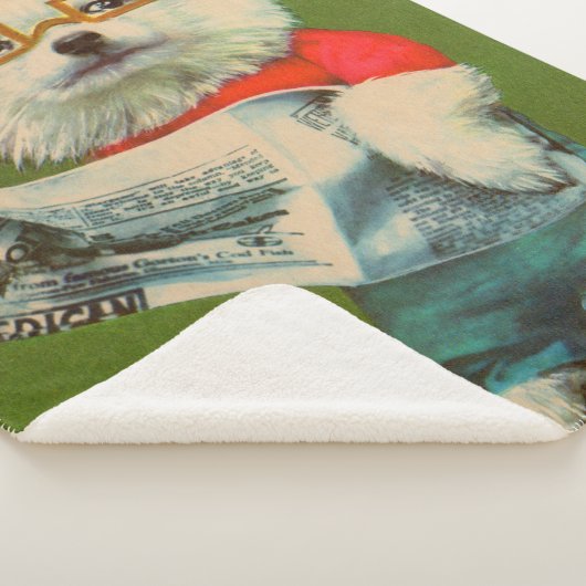 Welpe liest Zeitung Sherpadecke (3/4)