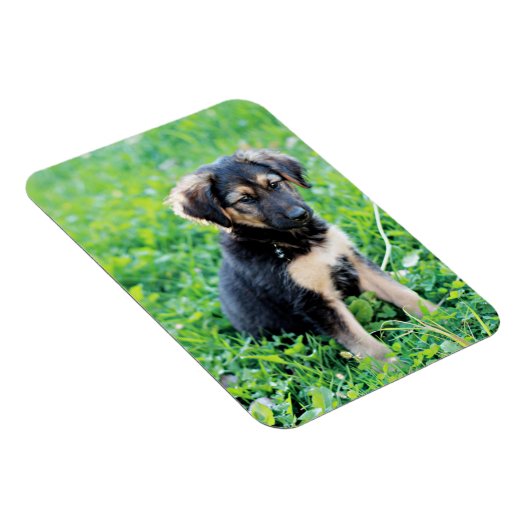 Welpe Magnet (Rechte Seite)