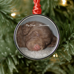 Welpe mein erstes Weihnachts-Foto Ornamente