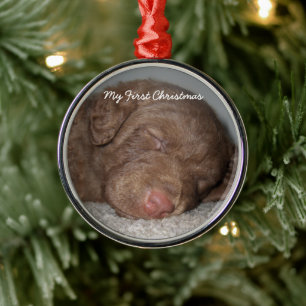 Welpe mein erstes Weihnachts-Foto Ornamente