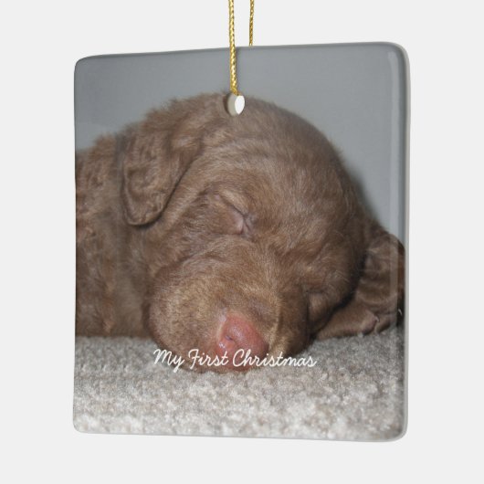 Welpe mein erstes Weihnachts-Foto Ornamente (Links)