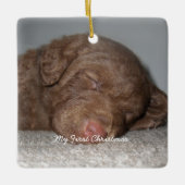 Welpe mein erstes Weihnachts-Foto Ornamente (Vorderseite)
