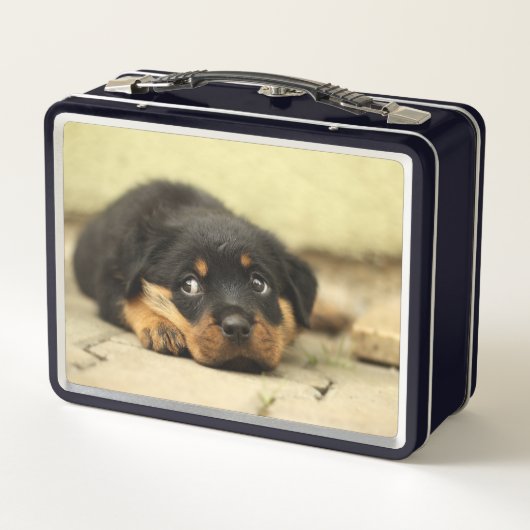 Welpe Metall Brotdose (Rückseite)