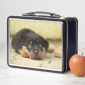 Welpe Metall Brotdose (Beispiel)